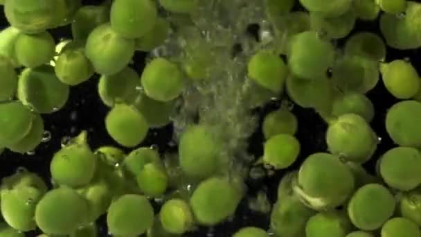 エンドウ豆は水に浸かってゆっくりと動きます 人間の消費のためにエンドウ豆を沸かす ビーガン ヘルシーな食べ物 — ストック動画