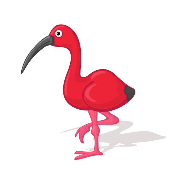 Funny cartoon ibis — Stock Vector