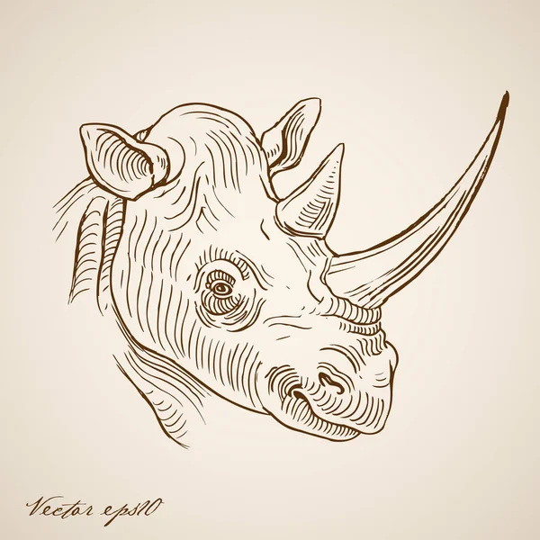 Collage de gribouillis rhinocéros — Image vectorielle
