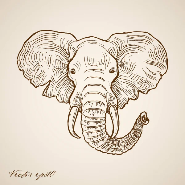Słoń doodle kolaż — Wektor stockowy