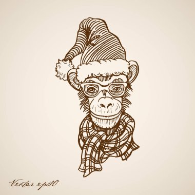 Santa Claus şapka maymun