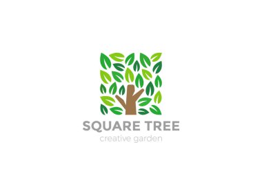 Ağaç logosu kare şekli tasarım  