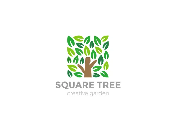 Árvore Logo design forma quadrada — Vetor de Stock
