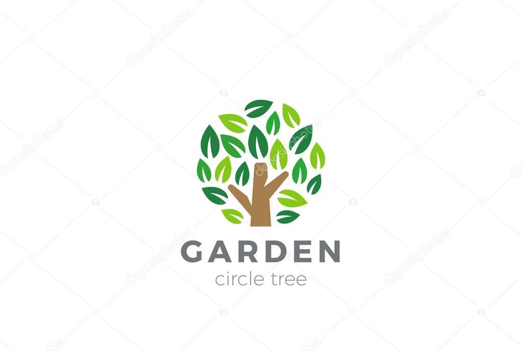 Tree Logo circle shape design  