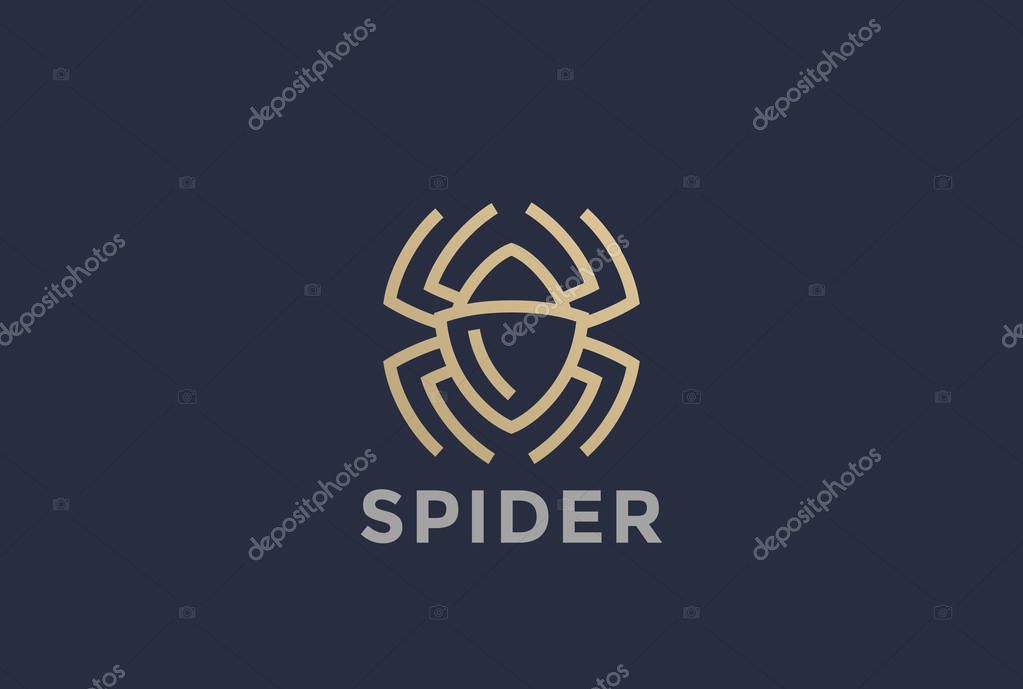 Spider Logo design vector template Linear style