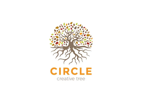 Cirkel Träd Med Rötter Logo Design Vector Mall — Stock vektor