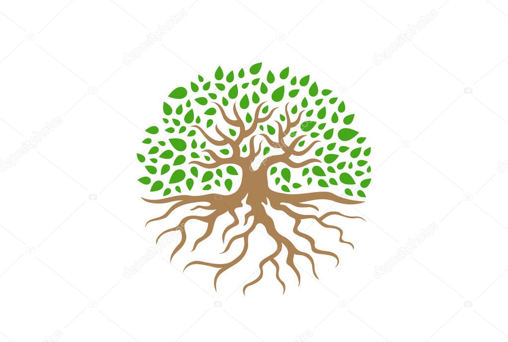 Circle Tree with Roots vector Illustration