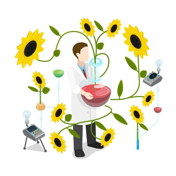 Flachen Stil Wissenschaftler chemische Pharmazie Biologie 3d isometrisches Konzept Web-Vektor-Illustration. Blume Pflanze Natur Sonnenblumenöl extrahieren. Ingenieurforschung. Laborausrüstung Arzt — Stockillustration Flachen Stil Wissenschaftler chemische Pharmazie — Stockvektor