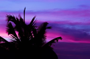 Meksika sahillerinde güzel bir gün batımı