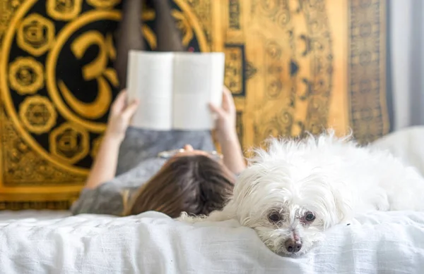 Mutlu kadın köpeği ve bir kitapla yatakta yatıyor.