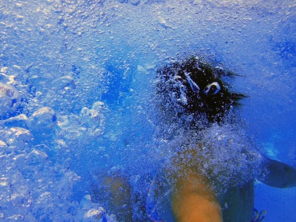 Mulher Mergulha Sob Água Piscina — Fotografia de Stock