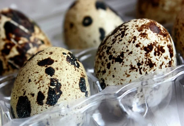 Quail eggs in the package are close-up. The background is blurred