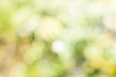 Bokeh çok renkler, Festival ışıklar bokeh arka plan, Bokeh ışık antika arka plan, soyut renkli ufuk, yumuşak odak