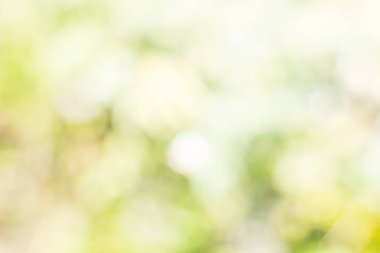 Bokeh çok renkler, Festival ışıklar bokeh arka plan, Bokeh ışık antika arka plan, soyut renkli ufuk, yumuşak odak