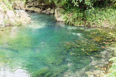 Derin orman şelale doğa, Vang Vieng, Laos