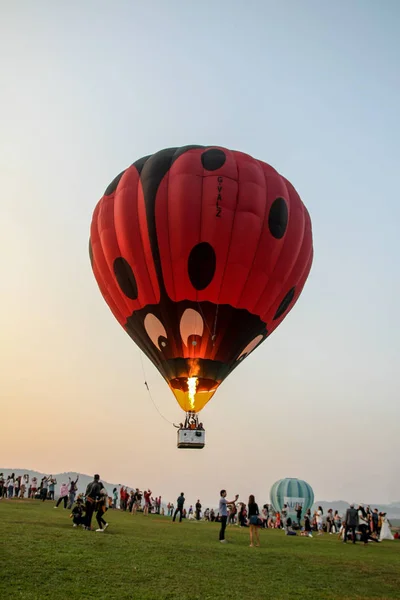 CHIANGRAI, TAILÂNDIA - FEVEREIRO 14, 2016: Balões de ar quente — Fotografia de Stock