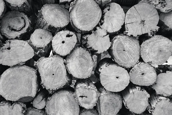 잘라 나무, 목재, 장작에 쌓여있는 장작의 배경 — 스톡 사진