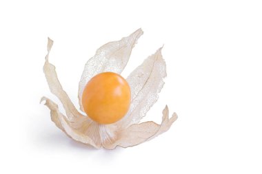 izole yakın çekim Cape bektaşi üzümü (lezzetli physalis) meyve 