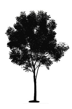Beyaz arka plan üzerinde izole ağaçlar silüeti