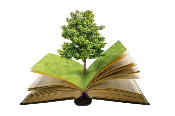 Yeşil ağaç ve açık klasik kitap alan çim