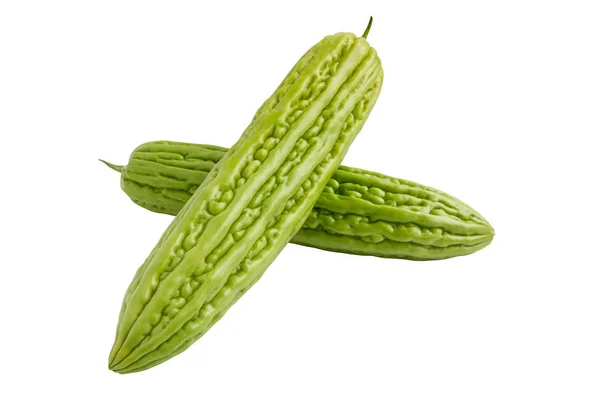 Färsk grön bitter gurka eller kinesiska bitter melon isolerade — Stockfoto