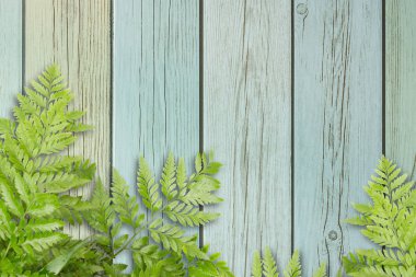 Yeşil yaprakları boşluklu metin, doğa kenarlık için ahşap
