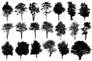 Koleksiyon, siluet, ağaç izole beyaz arka plan 