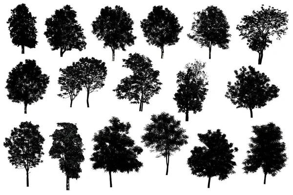 Collezione di silhouette di albero isolato su sfondo bianco — Foto Stock