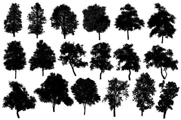 Колекція силуетів дерева ізольовані на білому тлі — стокове фото