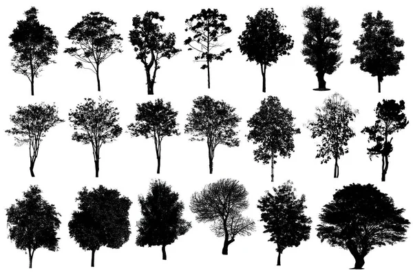 Колекція силуетів дерева ізольовані на білому тлі — стокове фото