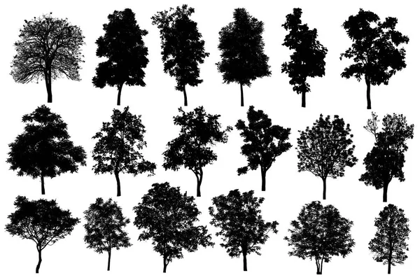 Samling av silhuetten av träd isolerade på vit bakgrund — Stockfoto