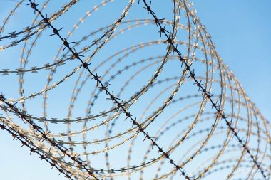 Dikenli tel çit kullanılan için koruma amaçlı, özellik ve hapis, hayır özgürlük, dikenli tel üzerinde ile mavi gökyüzü için hissediyorum endişesi çit.
