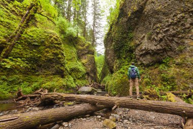 Oneonta Gorge, açık hava yaşam tarzı yürüyen macera adam sırt çantası ile hiking