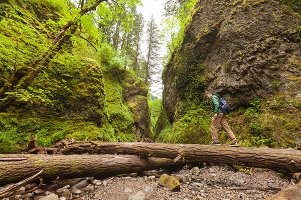 Adventure man hiking with backpack, walking in Oneonta Gorge, outdoor lifestyle — Stock Photo, Image