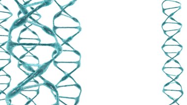 Organik Dna molekülü beyaz arka plan. 