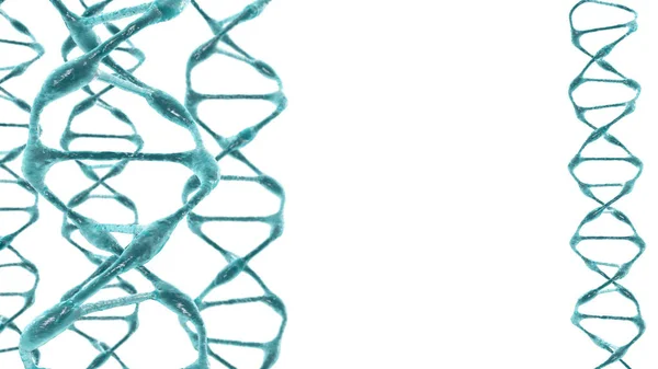 DNA organico molecola sfondo bianco . — Foto Stock