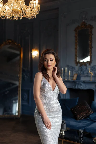 Beautiful sexy brunette in long silver dress posing in chic royal — Stock Photo, Image