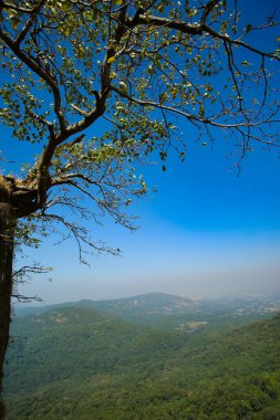 bir Asya bölgesinden tapınak görüntüsü
