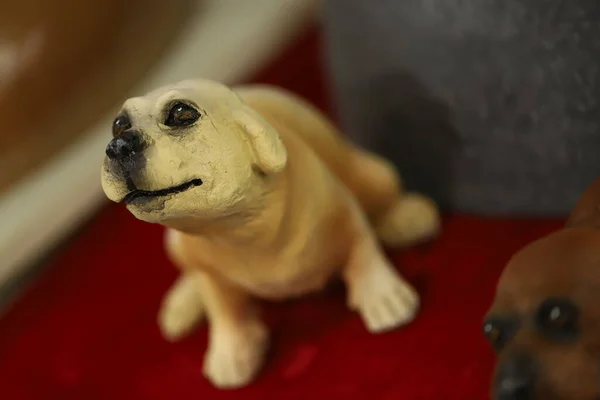 Golden Retriever Dog Imagem Dele — Fotografia de Stock