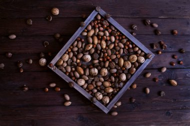 Farklı fındıkların arka planı ve dokusu