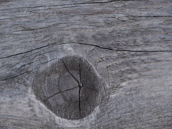 Природний Фон Старе Сіре Дерево — стокове фото