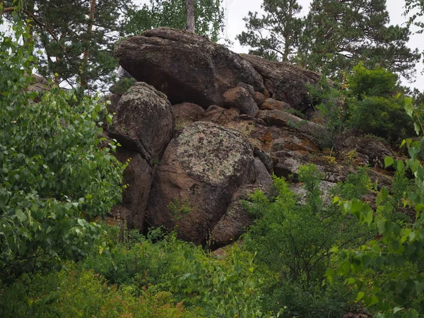 Pietra Roccia Nella Foresta Sotto Forma Animale Selvatico — Foto Stock