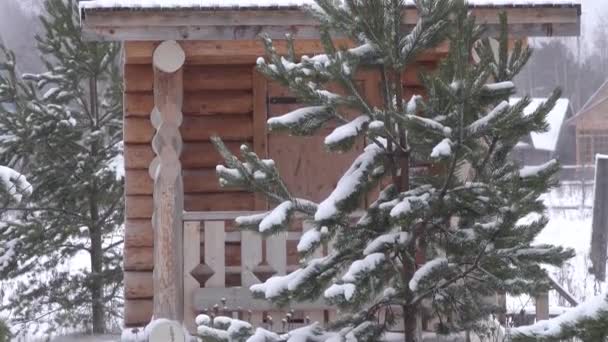 Panorama de invierno con la iglesia ortodoxa rusa capilla de madera en el bosque de pinos — Vídeos de Stock