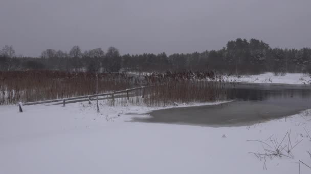 rivière non gelée coule en hiver. jetée de baignade pont Neige, forêt et dégel 