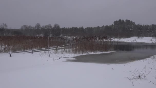 Unfrozen river flows in the winter. bathing pier bridge Snowing, forest and thaw — Stock Video