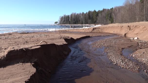 Ruscello primaverile in mare baia oceano sulla costa sabbiosa con ghiaccio in acqua con il suono — Video Stock