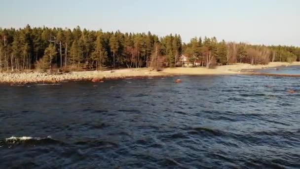 Vuelo a lo largo de la costa de la playa Golfo de Finlandia n mar con pequeñas olas cerca del bosque de pinos — Vídeos de Stock