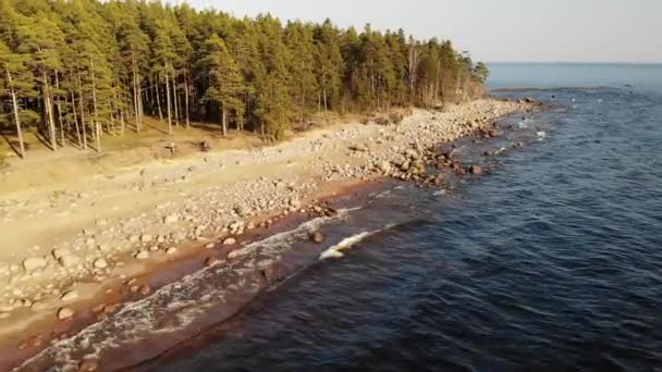 Vuelo a lo largo de la costa del Golfo de Finlandia o mar con pequeñas olas cerca del bosque de pinos — Vídeos de Stock