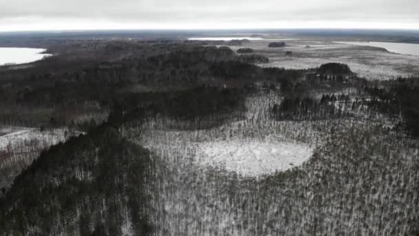 Зима або рання весна. Ліс і болота в снігу з декількома озерами — стокове відео