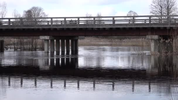 Rivier stroomt onder houten brug met metalen balk en betonnen steun. — Stockvideo